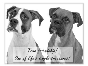 True Friendship_Boxers