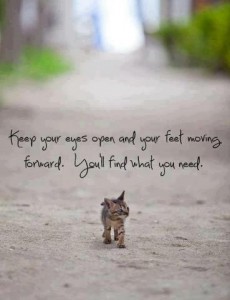 keep-moving-forward-kitten