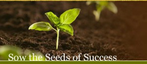 sowseedsofsuccessinside