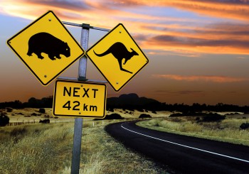 bigstockphoto_Australian_Road_Sign_19483611