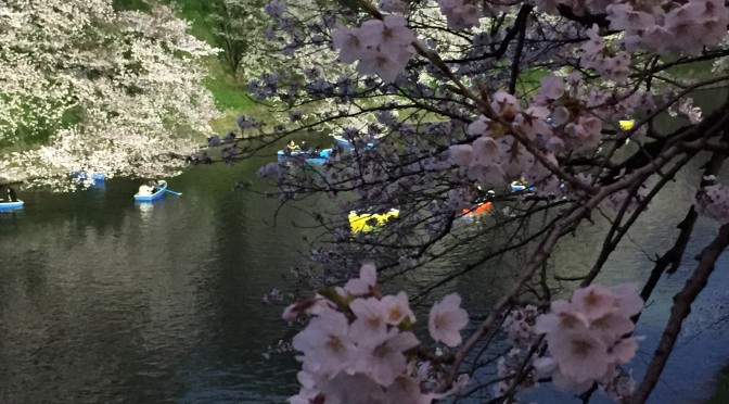 靖国神社と千鳥ヶ淵緑道で、2016年の桜を体感してきた