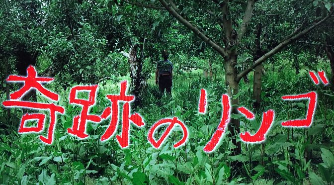 木村秋則さんがリンゴ栽培で起こした奇跡の物語：映画『奇跡のリンゴ』鑑賞記