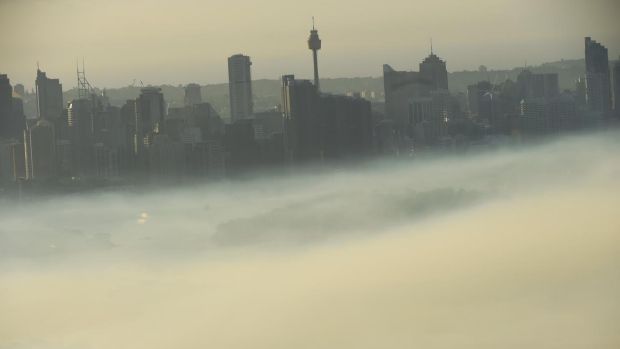 オーストラリア ライフスタイル＆ビジネス研究所：シドニーでオゾン・レベルが上昇、大気汚染に注意