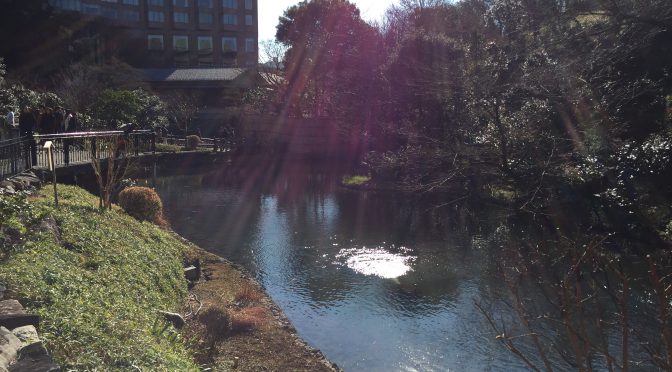 都会のオアシスを求めて：椿山荘の庭園