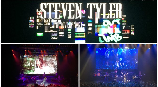 Steven Tyler JAPAN TOUR 2017 大阪公演に行って、Stevenの優しさとロックの伝説の凄みを体感してきた