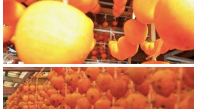 オーストラリア ライフスタイル & ビジネス研究所：日本産柿、輸入解禁。第一弾は和歌山産