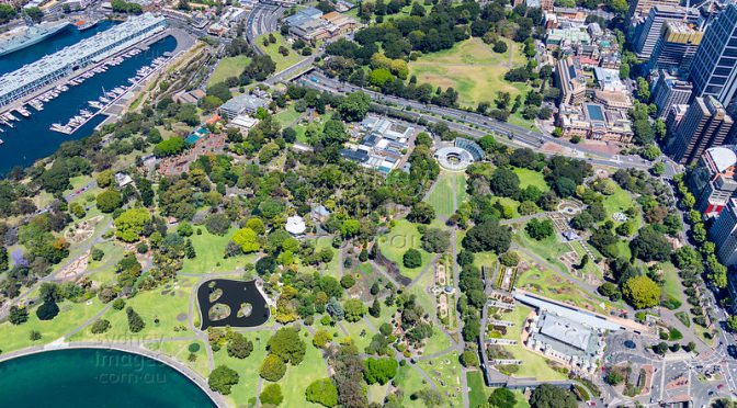 オーストラリア ライフスタイル＆ビジネス研究所：シドニー中心部の緑の楽園「王立植物園」