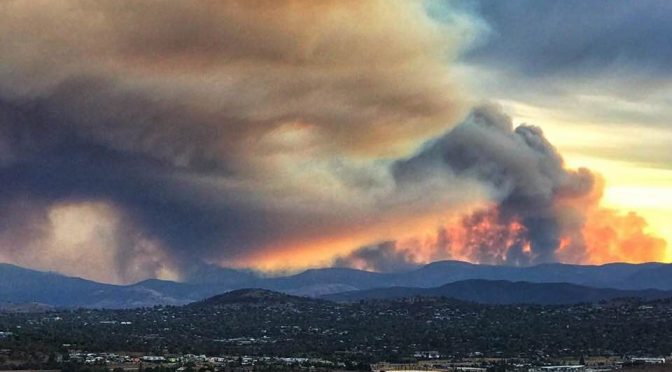 オーストラリア ライフスタイル＆ビジネス研究所：キャンベラ南郊の森林火災、勢い鎮火