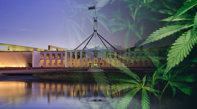 オーストラリア ライフスタイル＆ビジネス研究所：キャンベラを含む首都特別地域（ACT）で大麻解禁