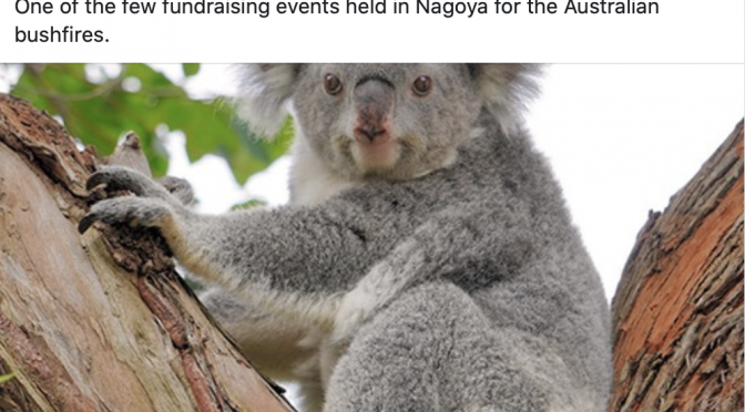オーストラリア ライフスタイル＆ビジネス研究所：東山動物園、タロンガ動物園にコアラ募金835万円寄付