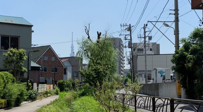 サクっと葛飾区（キャプテン翼に出迎えられ束の間の四ツ木散策）