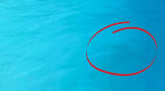 オーストラリア ライフスタイル＆ビジネス研究所：プールの写真をSNSに投稿した看護師「子供に青い水着を着せないで！」