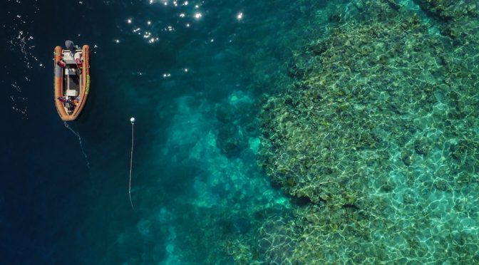 オーストラリア ライフスタイル＆ビジネス研究所：最大のサンゴ礁、回復の兆候。「危機遺産」回避へ 連邦政府アピール