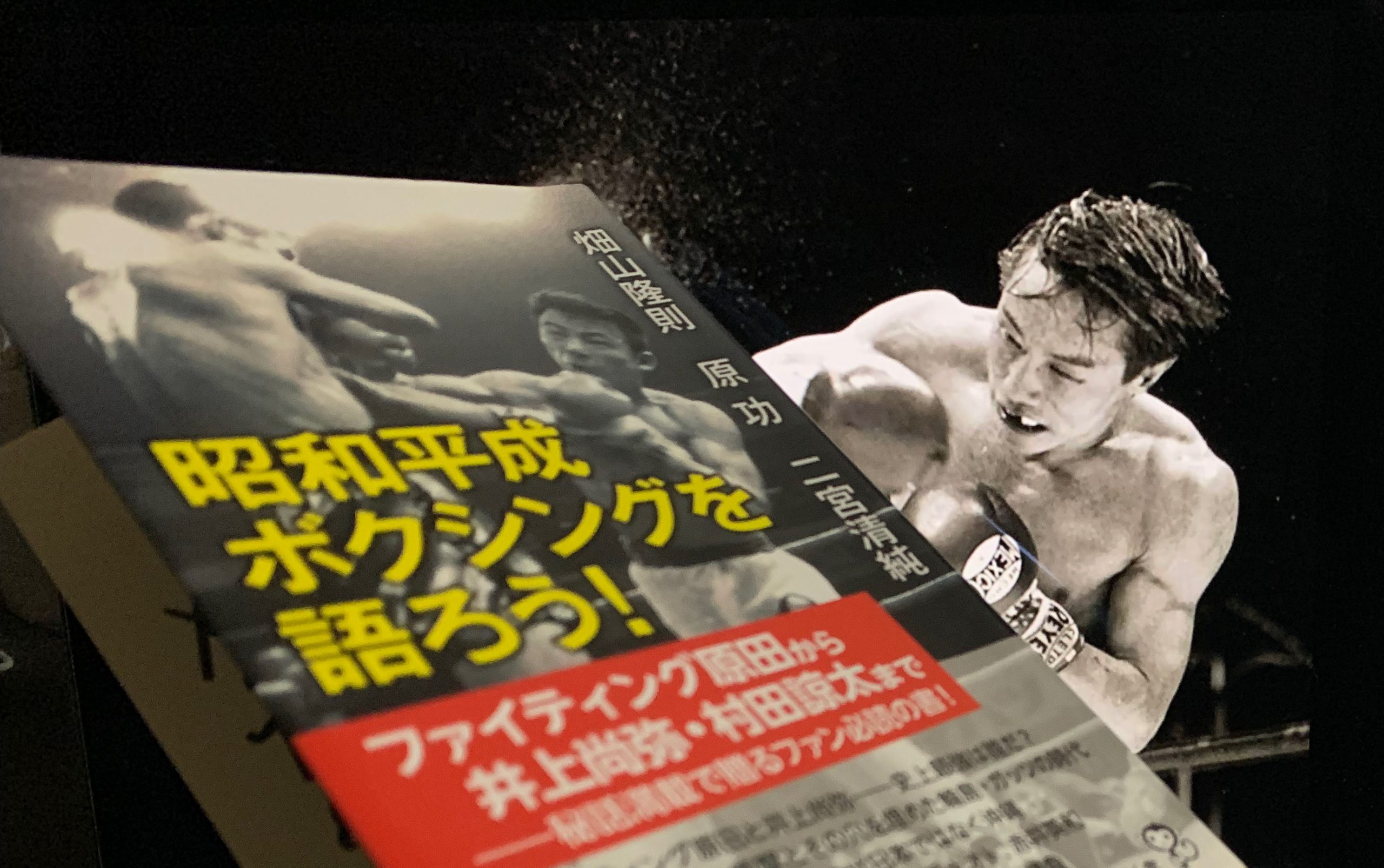 ボクシング グローブ 畑山隆則さん 光ジム 直筆 ウイニング winning